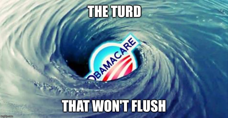 Entitlements are very hard to get rid of! | THE TURD; THAT WON'T FLUSH | image tagged in obamacare,turd,congress,senate | made w/ Imgflip meme maker