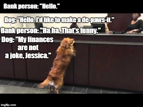 I have to save for retirement seven times faster than you. | Bank person: "Hello."; Dog: "Hello. I'd like to make a de-paws-it."; Bank person: "Ha ha. That's funny."; Dog: "My finances are not a joke, Jessica." | image tagged in funny meme,dog,bank account | made w/ Imgflip meme maker