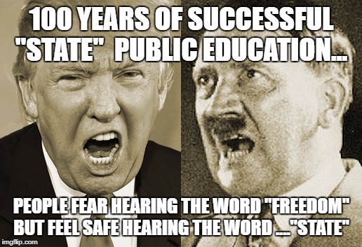Trump Hitler  | 100 YEARS OF SUCCESSFUL "STATE"  PUBLIC EDUCATION... PEOPLE FEAR HEARING THE WORD "FREEDOM" BUT FEEL SAFE HEARING THE WORD ...."STATE" | image tagged in trump hitler | made w/ Imgflip meme maker