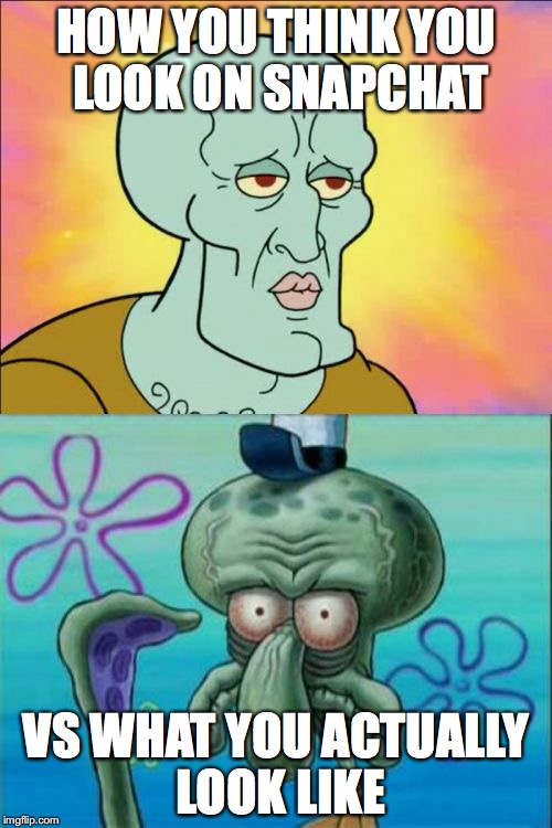 snapchat | HOW YOU THINK YOU LOOK ON SNAPCHAT; VS WHAT YOU ACTUALLY LOOK LIKE | image tagged in memes,squidward | made w/ Imgflip meme maker