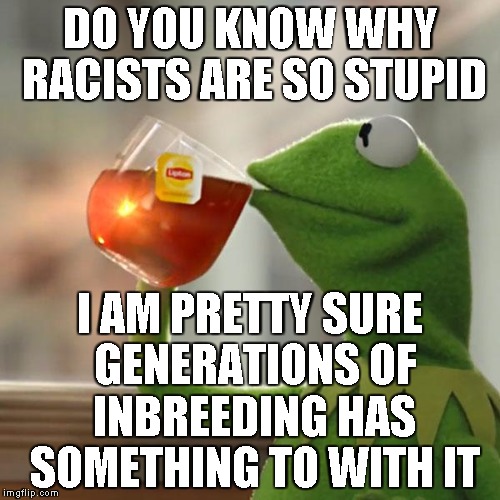 Inbreeding is Dangerous! | DO YOU KNOW WHY RACISTS ARE SO STUPID; I AM PRETTY SURE GENERATIONS OF INBREEDING HAS SOMETHING TO WITH IT | image tagged in memes,but thats none of my business,kermit the frog | made w/ Imgflip meme maker