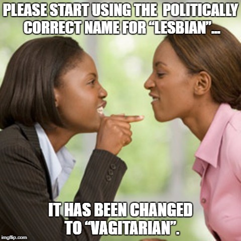 Lesbian couple arguing | PLEASE START USING THE  POLITICALLY CORRECT NAME FOR “LESBIAN”... IT HAS BEEN CHANGED TO “VAGITARIAN”. | image tagged in lesbian,vagitarian,funny,funny memes,gay humor | made w/ Imgflip meme maker