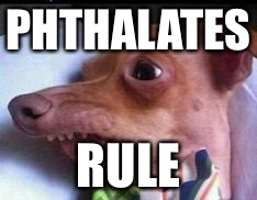 lisp dog | PHTHALATES; RULE | image tagged in lisp dog | made w/ Imgflip meme maker