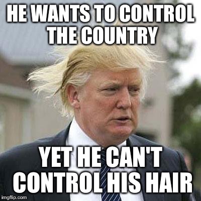 Donald Trump | HE WANTS TO CONTROL THE COUNTRY; YET HE CAN'T CONTROL HIS HAIR | image tagged in donald trump | made w/ Imgflip meme maker