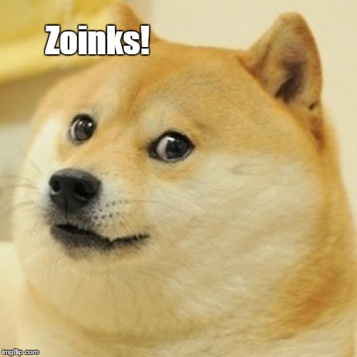 Doge Meme | Zoinks! | image tagged in memes,doge | made w/ Imgflip meme maker