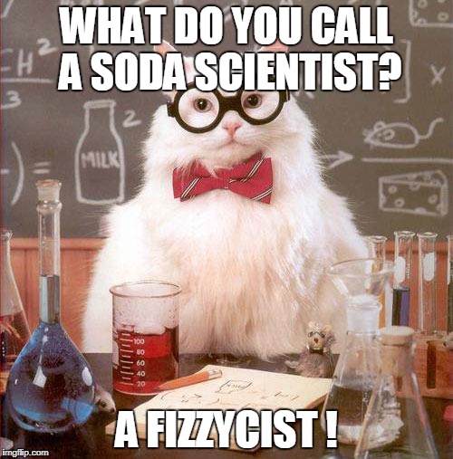 Science Cat | WHAT DO YOU CALL A SODA SCIENTIST? A FIZZYCIST ! | image tagged in science cat | made w/ Imgflip meme maker