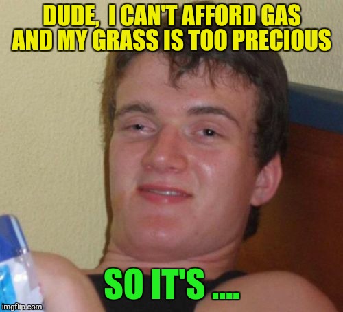 10 Guy Meme | DUDE,  I CAN'T AFFORD GAS AND MY GRASS IS TOO PRECIOUS SO IT'S .... | image tagged in memes,10 guy | made w/ Imgflip meme maker