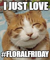 I JUST LOVE; #FLORALFRIDAY | made w/ Imgflip meme maker