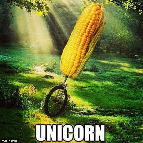 UNICORN | . | image tagged in unicorn | made w/ Imgflip meme maker