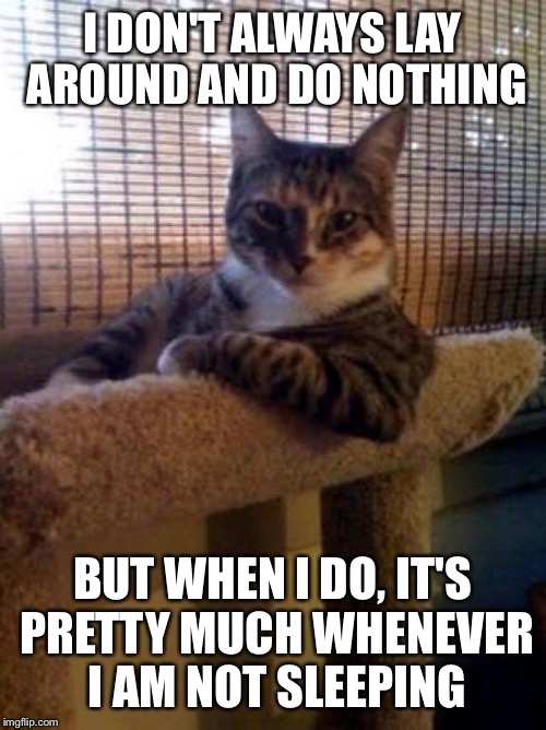 The Most Interesting Cat In The World Meme | I DON'T ALWAYS LAY AROUND AND DO NOTHING; BUT WHEN I DO, IT'S PRETTY MUCH WHENEVER I AM NOT SLEEPING | image tagged in memes,the most interesting cat in the world | made w/ Imgflip meme maker