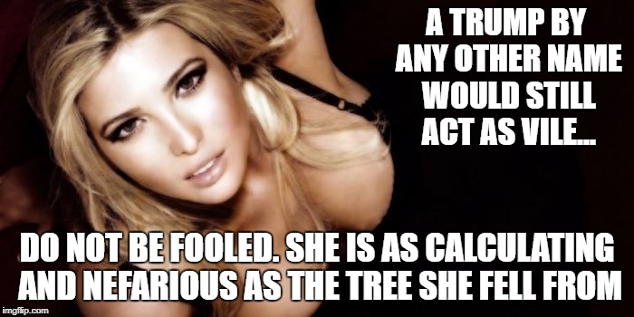 A TRUMP BY ANY OTHER NAME WOULD STILL ACT AS VILE... DO NOT BE FOOLED. SHE IS AS CALCULATING AND NEFARIOUS AS THE TREE SHE FELL FROM | image tagged in ivanke,trump,treason | made w/ Imgflip meme maker