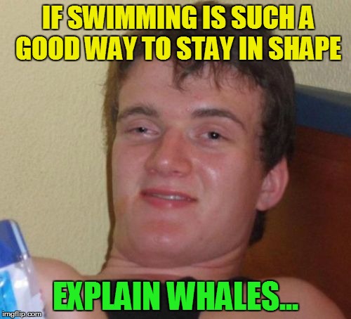 10 Guy | IF SWIMMING IS SUCH A GOOD WAY TO STAY IN SHAPE; EXPLAIN WHALES... | image tagged in memes,10 guy | made w/ Imgflip meme maker