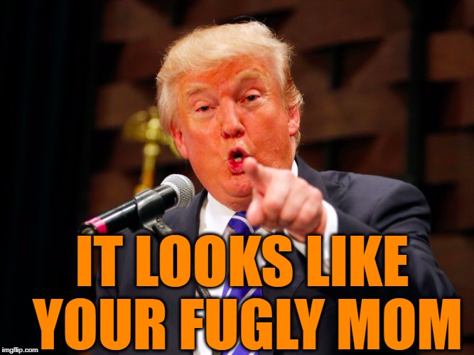 trump point | IT LOOKS LIKE YOUR FUGLY MOM | image tagged in trump point | made w/ Imgflip meme maker