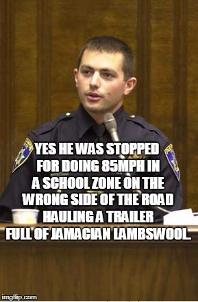 Police Officer Testifying | YES HE WAS STOPPED FOR DOING 85MPH IN A SCHOOL ZONE ON THE WRONG SIDE OF THE ROAD HAULING A TRAILER FULL OF JAMACIAN LAMBSWOOL. | image tagged in memes,police officer testifying | made w/ Imgflip meme maker