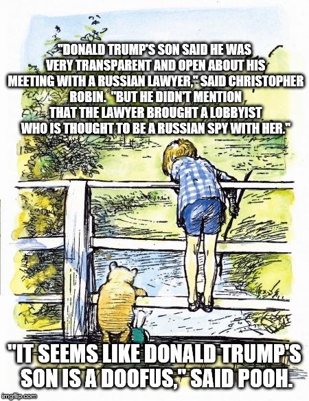 Pooh Sticks | "DONALD TRUMP'S SON SAID HE WAS VERY TRANSPARENT AND OPEN ABOUT HIS MEETING WITH A RUSSIAN LAWYER," SAID CHRISTOPHER ROBIN.  "BUT HE DIDN'T MENTION THAT THE LAWYER BROUGHT A LOBBYIST WHO IS THOUGHT TO BE A RUSSIAN SPY WITH HER."; "IT SEEMS LIKE DONALD TRUMP'S SON IS A DOOFUS," SAID POOH. | image tagged in pooh sticks | made w/ Imgflip meme maker