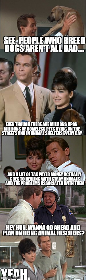 It's common sense.  Until the problem is under control breeding should be highly regulated. | SEE, PEOPLE WHO BREED DOGS AREN'T ALL BAD.... EVEN THOUGH THERE ARE MILLIONS UPON MILLIONS OF HOMELESS PETS DYING ON THE STREETS AND IN ANIMAL SHELTERS EVERY DAY; AND A LOT OF TAX PAYER MONEY ACTUALLY GOES TO DEALING WITH STRAY ANIMALS AND THE PROBLEMS ASSOCIATED WITH THEM; HEY HUN, WANNA GO AHEAD AND PLAN ON BEING ANIMAL RESCUERS? YEAH. | image tagged in dogs | made w/ Imgflip meme maker