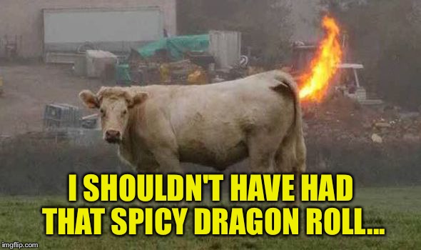 I SHOULDN'T HAVE HAD THAT SPICY DRAGON ROLL... | made w/ Imgflip meme maker