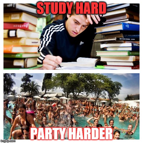 STUDY HARD; PARTY HARDER | image tagged in study and party | made w/ Imgflip meme maker