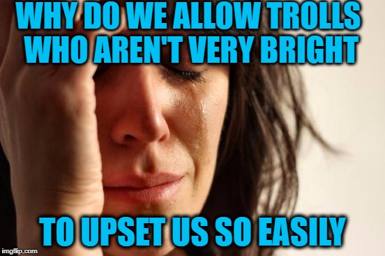 First World Problems Meme | WHY DO WE ALLOW TROLLS WHO AREN'T VERY BRIGHT TO UPSET US SO EASILY | image tagged in memes,first world problems | made w/ Imgflip meme maker