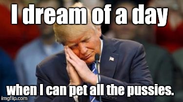 Trump Sleeping  | I dream of a day when I can pet all the pussies. | image tagged in trump sleeping | made w/ Imgflip meme maker