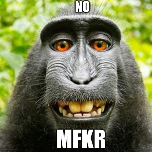 Coworker  | NO; MFKR | image tagged in monkey business | made w/ Imgflip meme maker