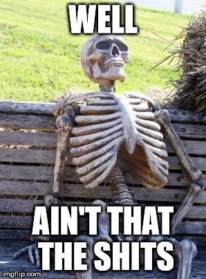 Waiting Skeleton Meme | WELL AIN'T THAT THE SHITS | image tagged in memes,waiting skeleton | made w/ Imgflip meme maker