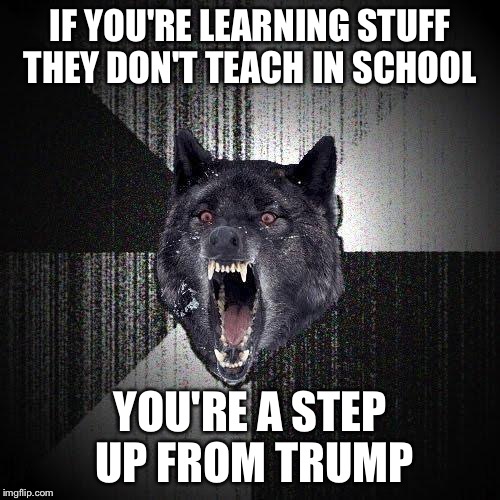 I agree with that  | IF YOU'RE LEARNING STUFF THEY DON'T TEACH IN SCHOOL; YOU'RE A STEP UP FROM TRUMP | image tagged in memes,insanity wolf,school,donald trump,education | made w/ Imgflip meme maker