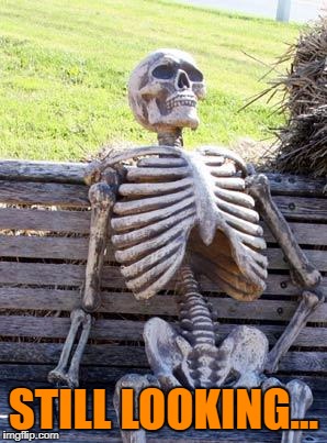 Waiting Skeleton Meme | STILL LOOKING... | image tagged in memes,waiting skeleton | made w/ Imgflip meme maker