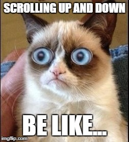 Grumpy Cat Shocked | SCROLLING UP AND DOWN BE LIKE... | image tagged in grumpy cat shocked | made w/ Imgflip meme maker