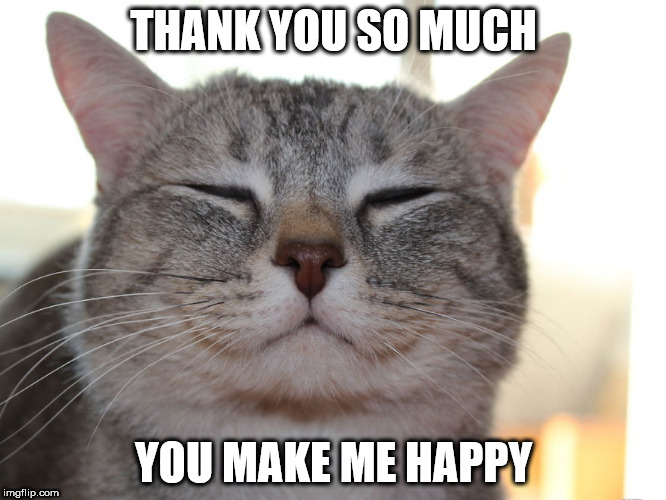 THANK YOU SO MUCH; YOU MAKE ME HAPPY | made w/ Imgflip meme maker