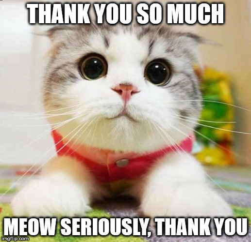 THANK YOU SO MUCH; MEOW SERIOUSLY, THANK YOU | made w/ Imgflip meme maker