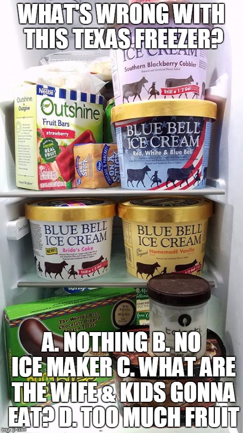 I Love Ice Cream | WHAT'S WRONG WITH THIS TEXAS FREEZER? A. NOTHING B. NO ICE MAKER C. WHAT ARE THE WIFE & KIDS GONNA EAT? D. TOO MUCH FRUIT | image tagged in ice cream,sugar,obesity,dieting,diet,diabetes | made w/ Imgflip meme maker