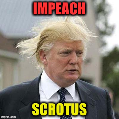 Donald Trump | IMPEACH; SCROTUS | image tagged in donald trump | made w/ Imgflip meme maker