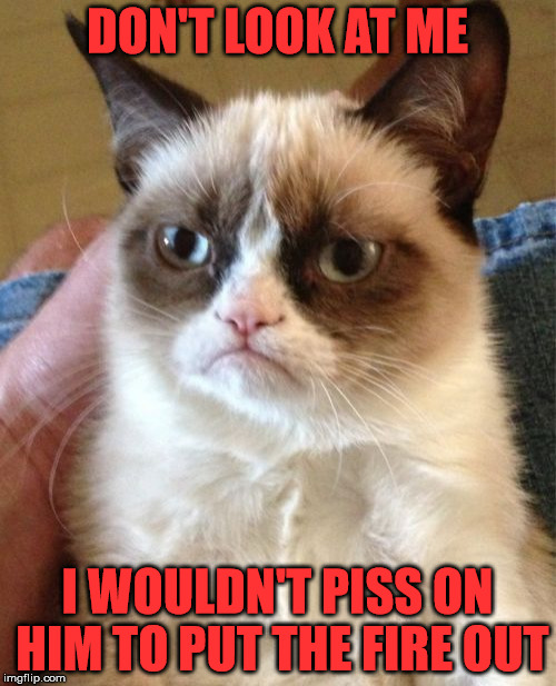 Grumpy Cat Meme | DON'T LOOK AT ME I WOULDN'T PISS ON HIM TO PUT THE FIRE OUT | image tagged in memes,grumpy cat | made w/ Imgflip meme maker