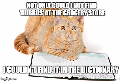 NOT ONLY COULD I NOT FIND 'HUBRUS' AT THE GROCERY STORE; I COULDN'T FIND IT IN THE DICTIONARY | made w/ Imgflip meme maker