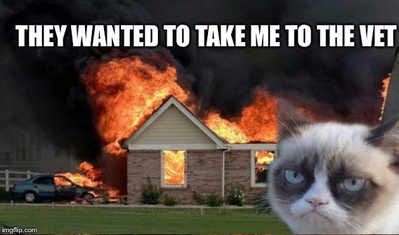 THEY WANTED TO TAKE ME TO THE VET | made w/ Imgflip meme maker
