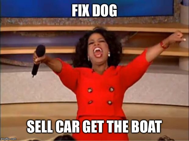 Oprah You Get A Meme | FIX DOG SELL CAR GET THE BOAT | image tagged in memes,oprah you get a | made w/ Imgflip meme maker