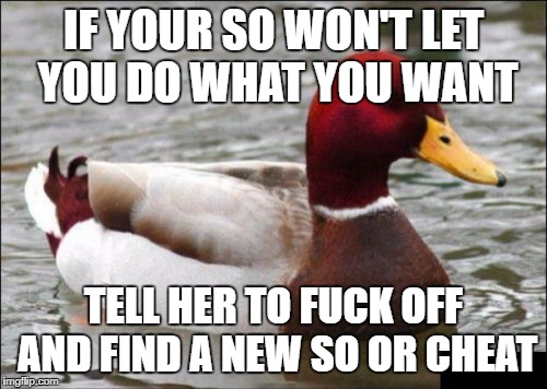 Malicious Advice Mallard Meme | IF YOUR SO WON'T LET YOU DO WHAT YOU WANT; TELL HER TO FUCK OFF AND FIND A NEW SO OR CHEAT | image tagged in memes,malicious advice mallard | made w/ Imgflip meme maker