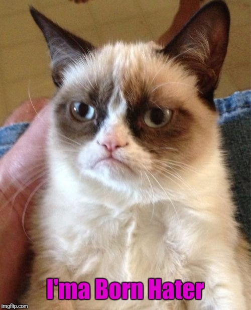 Grumpy Cat Meme | I'ma Born Hater | image tagged in memes,grumpy cat | made w/ Imgflip meme maker