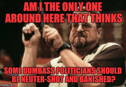 Am I The Only One Around Here Meme | AM I THE ONLY ONE AROUND HERE THAT THINKS; SOME DUMBASS POLITICIANS SHOULD BE NEUTER-SHOT AND BANISHED? | image tagged in memes,am i the only one around here | made w/ Imgflip meme maker