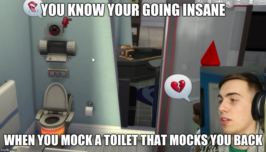 YOU KNOW YOUR GOING INSANE; WHEN YOU MOCK A TOILET THAT MOCKS YOU BACK | image tagged in sigh | made w/ Imgflip meme maker