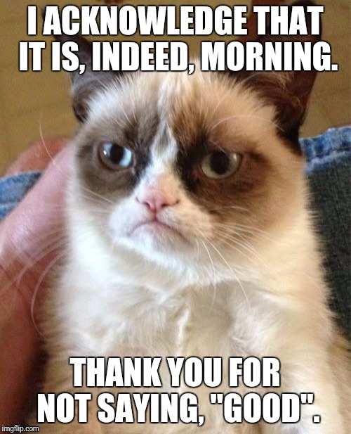 My response when somebody says, "Morning!" before I've had my coffee... | I ACKNOWLEDGE THAT IT IS, INDEED, MORNING. THANK YOU FOR NOT SAYING, "GOOD". | image tagged in memes,grumpy cat,morning | made w/ Imgflip meme maker