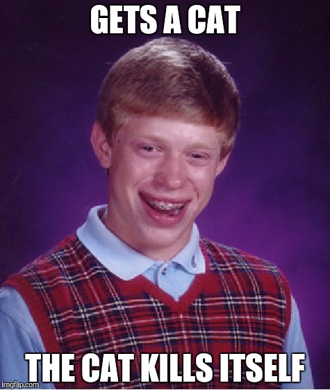 Bad Luck Brian Meme | GETS A CAT; THE CAT KILLS ITSELF | image tagged in memes,bad luck brian,funny memes | made w/ Imgflip meme maker