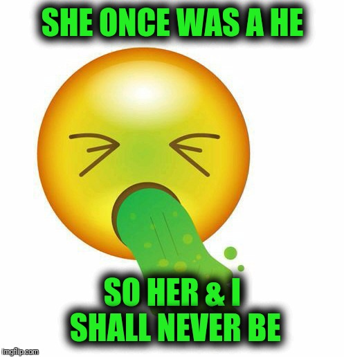 SHE ONCE WAS A HE SO HER & I SHALL NEVER BE | made w/ Imgflip meme maker