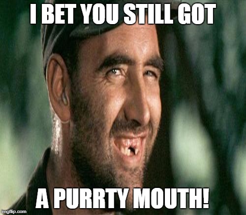 I BET YOU STILL GOT A PURRTY MOUTH! | made w/ Imgflip meme maker