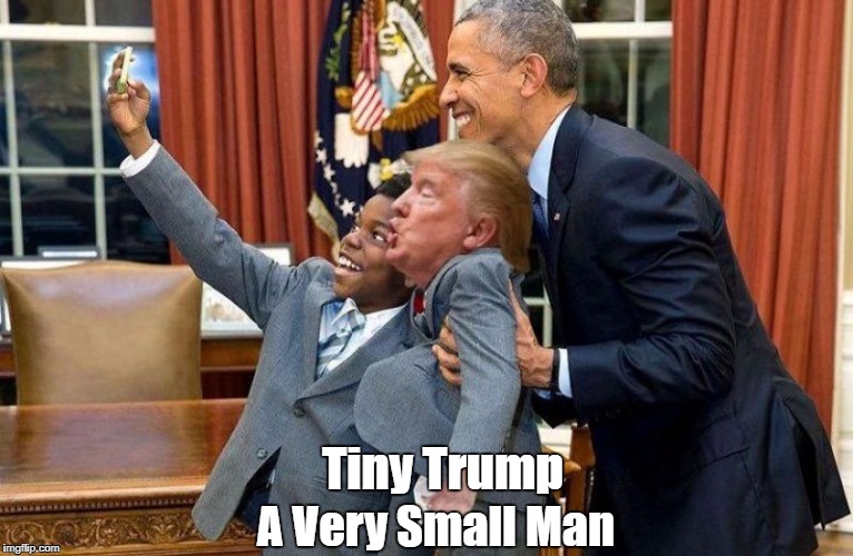 Tiny Trump A Very Small Man | made w/ Imgflip meme maker