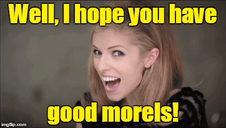 Well, I hope you have good morels! | made w/ Imgflip meme maker