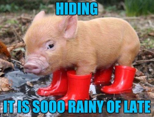 HIDING IT IS SOOO RAINY OF LATE | made w/ Imgflip meme maker