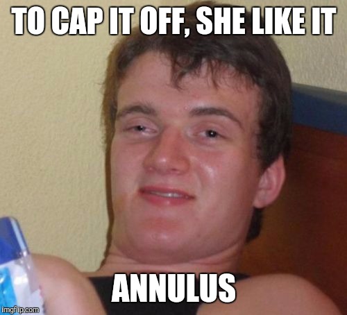 10 Guy Meme | TO CAP IT OFF, SHE LIKE IT ANNULUS | image tagged in memes,10 guy | made w/ Imgflip meme maker