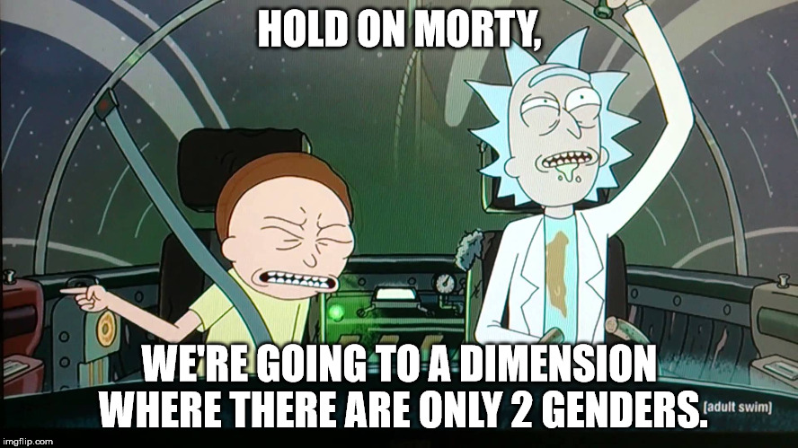 Hang on Morty! | HOLD ON MORTY, WE'RE GOING TO A DIMENSION WHERE THERE ARE ONLY 2 GENDERS. | image tagged in hang on morty | made w/ Imgflip meme maker